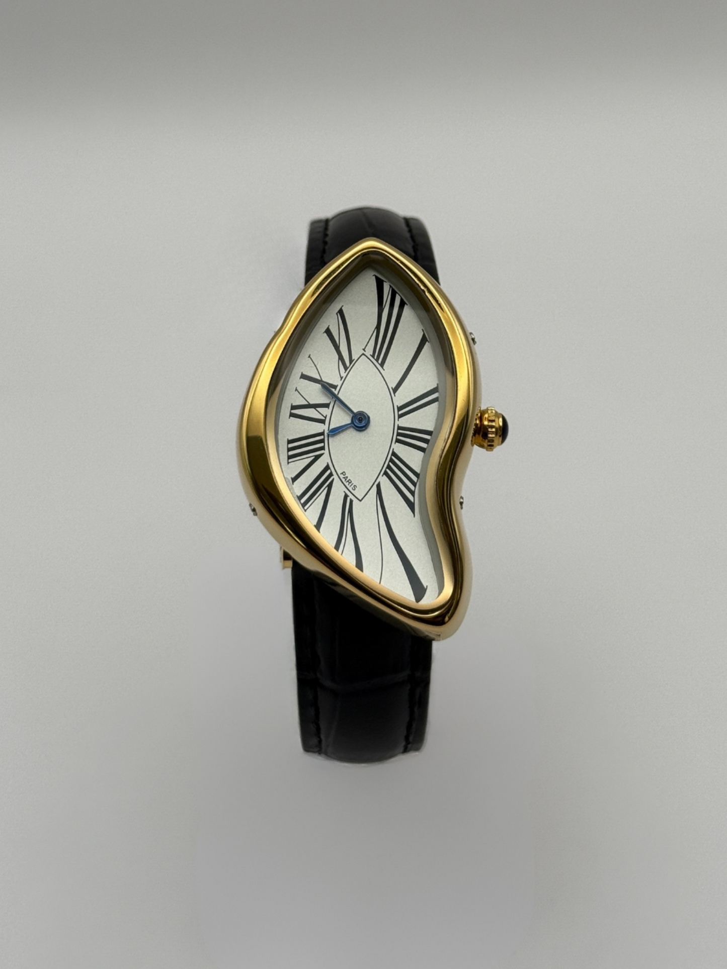 Paradoxa Watch